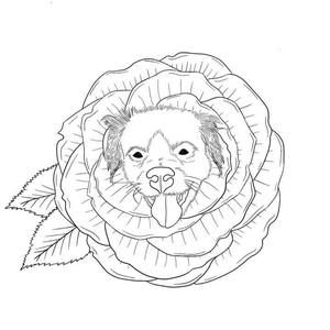 Meet your Posher, Wendy